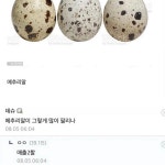 메추리알의 위엄 | 중고악기 뮬