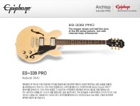 에피폰 ES-339 Pro 스트링 게이지변경 질문 입니다. | 중고악기 뮬
