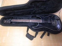 ltd h1001 fm deluxe 판매합니다 | 중고악기 뮬