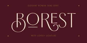 tag:elegant sans serif « MyFonts
