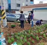 평택시 신장1동 행정복지센터, 2022년 국토대청결운동 및 가을꽃 식재... 평택시 신장1동 행정복지센터, 2022년 국토대청결운동 및 가을꽃 식재... 