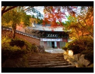 사천시 각산 편백나무숲과 다솔사 명상숲, 대한민국 100대 명품숲 선정... 사천시 각산 편백나무숲과 다솔사 명상숲, 대한민국 100대 명품숲 선정