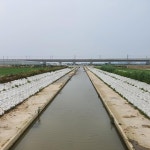 농어촌公전북본부,도내 배수개선사업 추진 원할 < 전주/전북 < 전국 < 기사본문 - 내외일보 농어촌公전북본부,도내 배수개선사업 추진 원할... 