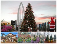 옥정호 출렁다리‧붕어섬 생태공원‘메리 크리스마스’…성탄 경관 조성 < 전주/전북 < 전국 < 기사본문 - 내외일보 옥정호 출렁다리‧붕어섬... 