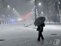 설 명절 시작부터 기록적 폭설… 내륙·제주 곳곳에서 눈폭탄 < 정치사회·세계 < 뉴스 < 기사본문 - 내외일보 설 명절 시작부터 기록적 폭설... 