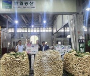 안산시농수산물도매시장, 반월농산서 무 3.7톤 푸드뱅크 나눔 받아... 안산시농수산물도매시장, 반월농산서 무 3.7톤 푸드뱅크 나눔 받아 - 내외일보