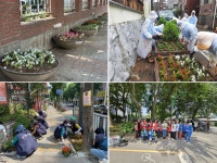 간석2·구월4·만수5·6동, 주민과 함게 여름맞이 초화 식재 < 인천... 내외일보 간석2·구월4·만수5·6동, 주민과 함게 여름맞이 초화 식재... 