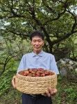 전남도, 10월 이달의 임업인에 방선호 마장지 농원 대표 < 광주/전남 < 전국 < 기사본문 - 내외일보 전남도, 10월 이달의 임업인에 방선호 마장지... 