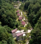 울진군 금강송에코리움, 민간위탁 운영 본격화 < 대구/경북 < 전국 < 기사본문 - 내외일보 울진군 금강송에코리움, 민간위탁 운영 본격화 - 내외일보