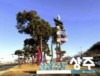 상주시, 시가지 명품 가로수길 조성으로 도시경관 혁신 < 대구/경북 < 전국 < 기사본문 - 내외일보 상주시, 시가지 명품 가로수길 조성으로... 