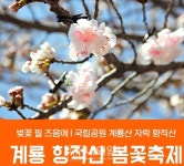 벚꽃길 따라 즐기는 3일…계룡 ‘향적산 봄나들이’ 본격 준비 < 충남... 벚꽃길 따라 즐기는 3일…계룡 ‘향적산 봄나들이’ 본격 준비 - 내외일보