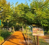 두계천 황톳길 새단장… 시민 휴식·건강 공간으로 재정비 < 충남 < 전국... 내외일보 두계천 황톳길 새단장… 시민 휴식·건강 공간으로 재정비... 