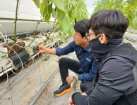 군산시, 청년 농업인 경영실습 스마트팜 임차인 모집 < 전주/전북 < 전국 < 기사본문 - 내외일보 군산시, 청년 농업인 경영실습 스마트팜 임차인... 