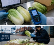 24일-25일 수입 중국산 배추 8건 검사…포름알데히드 ‘불검출’ < 세종 < 전국 < 기사본문 - 내외일보 24일-25일  수입 중국산 배추 8건 검사... 