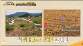 강사님만 믿었는데 부동산 경매 유명강사, 1500억 꿀꺽 무슨 일?