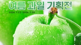아삭아삭 상큼해 쿠팡, 햇사과 동종업계 최저가 9800원 특가 판매