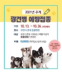 부천시, 추계 광견병 예방접종 실시 < 경기 < 전국 < 기사본문 - 내외뉴스통신 부천시, 추계 광견병 예방접종 실시