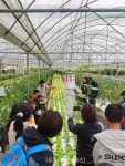 [소셜·라이프] 아쿠아 포닉스 매력에 빠진 IT 엔지니어 출신 농업인 < 해외 < 국제 < 기사본문 - 내외뉴스통신 [소셜·라이프] 아쿠아 포닉스... 