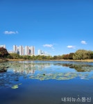 [기획]고양시, 일산호수공원 새단장… 경관·디자인·북카페 추가 등... 일산호수공원 새단장… 경관·디자인·북카페 추가 등 대대적 시설 개선