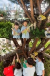 청주 덕성유치원, 텃밭 옥수수 수확 체험 < 충북 < 전국 < 기사본문 - 내외뉴스통신 청주 덕성유치원, 텃밭 옥수수 수확 체험