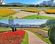 청주시 4곳 꽃정원, 만개한 꽃들로 장관!! < 충북 < 전국 < 기사본문 - 내외뉴스통신 청주시 4곳 꽃정원, 만개한 꽃들로 장관!!