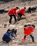 영동군, 제80회 식목일 맞아 ‘나무심기 행사’ 진행 < 충북 < 전국 < 기사본문 - 내외뉴스통신 영동군, 제80회 식목일 맞아 ‘나무심기 행사’ 진행