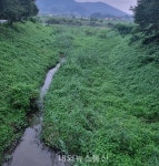 청미천, 흐르는 물이 전하는 경고...치유의 길이자 위기의 강 < 충북 < 전국 < 기사본문 - 내외뉴스통신 청미천, 흐르는 물이 전하는 경고...치유의... 