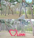 영동군 ‘물한계곡·송호관광지’ 최적의 피서지...계곡 트레킹부터 감성 캠핑까지 < 충북 < 전국 < 기사본문 - 내외뉴스통신 영동군 ‘물한계곡... 
