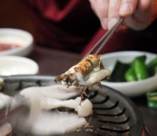장어구이와 돌솥밥의 절묘한 조화 대영장어 < 주요뉴스 < 사천맛집기행 < 문화/스포츠 < 기사본문 - 뉴스사천 장어구이와 돌솥밥의 절묘한 조화... 