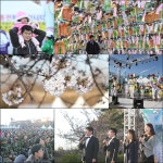 올해 봄맞이도 ‘와룡문화제’에서! < 주요뉴스 < 공연/축제 < 문화/스포츠 < 기사본문 - 뉴스사천 올해 봄맞이도 ‘와룡문화제’에서!