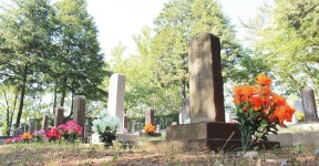 잊힌 설움, 사천국군묘지를 아시나요? < 사회 < 기사본문 - 뉴스사천 잊힌 설움, 사천국군묘지를 아시나요?