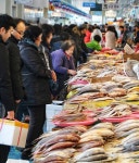 [포토] 대목장 풍경 < 사회 < 기사본문 - 뉴스사천 [포토] 대목장 풍경