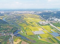 [하늘에서 본 사천] 사천강(泗川江) < 하늘에서 본 사천 < 연재 < 기사본문 - 뉴스사천 [하늘에서 본 사천] 사천강(泗川江)