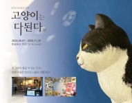 리미술관 고양이는 다 된다展, 진주 찾는다 < 문화/스포츠 < 기사본문 - 뉴스사천 리미술관 고양이는 다 된다展, 진주 찾는다