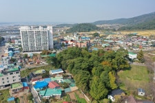 마을 사람들의 쉼터와 소통의 장 되어주는 임내숲 < 사천의 마을 숲 < 기획 < 기사본문 - 뉴스사천 마을 사람들의 쉼터와 소통의 장 되어주는 임내숲