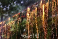 사천읍성 거닐며 문화의 향기를~ 사천문화재야행 개막 < 문화/스포츠 < 기사본문 - 뉴스사천 사천읍성 거닐며 문화의 향기를~ 사천문화재야행 개막