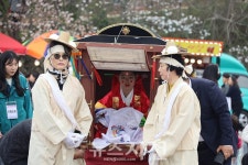 선진리성 벚꽃축제서 전통혼례 재현 눈길…상춘객 발길 붙잡아... 뉴스사천 선진리성 벚꽃축제서 전통혼례 재현 눈길…상춘객 발길 붙잡아