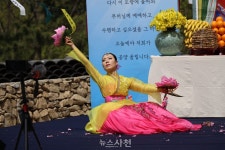 와룡산 청룡사 겹벚꽃 활짝…SNS 입소문 타고 상춘객 북적 < 생생뉴스 < 문화/스포츠 < 기사본문 - 뉴스사천 와룡산 청룡사 겹벚꽃 활짝…SNS... 