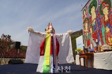 와룡산 청룡사 겹벚꽃 활짝…SNS 입소문 타고 상춘객 북적 < 생생뉴스 < 문화/스포츠 < 기사본문 - 뉴스사천 와룡산 청룡사 겹벚꽃 활짝…SNS... 