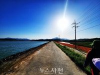 [포토] 서포면 신소마을 둑방길 꽃양귀비 '활짝' < 생생뉴스 < 사회 < 기사본문 - 뉴스사천 [포토] 서포면 신소마을 둑방길 꽃양귀비 '활짝'