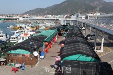 삼천포항 용궁포차촌 재탄생 < 생생뉴스 < 경제 < 기사본문 - 뉴스사천 추억은 그대로, 시설은 새롭게... 삼천포항 용궁포차촌 재탄생