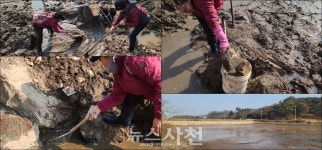 정동면 침곡소류지 물고기 집단 폐사 알고 보니··· < 생생뉴스 < 사회 < 기사본문 - 뉴스사천 정동면 침곡소류지 물고기 집단 폐사 알고 보니···