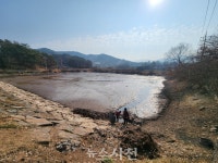 정동면 침곡소류지 물고기 집단 폐사 알고 보니··· < 생생뉴스 < 사회 < 기사본문 - 뉴스사천 정동면 침곡소류지 물고기 집단 폐사 알고 보니···
