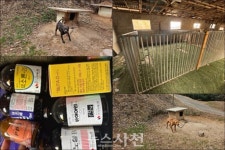 사천읍 야산서 불법 투견 훈련장 의심시설 적발 < 생생뉴스 < 사건... 사회 < 기사본문 - 뉴스사천 사천읍 야산서 불법 투견 훈련장 의심시설 적발