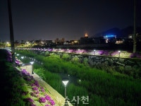향촌동 봉남천 빛의 산책로 변신···LED 잔디등 설치 < 생생뉴스... 기사본문 - 뉴스사천 향촌동 봉남천 빛의 산책로 변신···LED 잔디등 설치