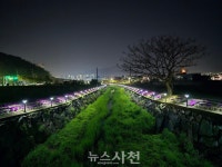 향촌동 봉남천 빛의 산책로 변신···LED 잔디등 설치 < 생생뉴스... 기사본문 - 뉴스사천 향촌동 봉남천 빛의 산책로 변신···LED 잔디등 설치