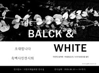 사천 토박이 사진가의 50년, 흑백 사진에 담긴 시간들 < 생생뉴스 < 문화/스포츠 < 기사본문 - 뉴스사천 사천 토박이 사진가의 50년, 흑백 사진에... 