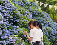 더위는 피하고 추억은 남기고···경남 여름 명소 18선 < 생생뉴스 < 문화/스포츠 < 기사본문 - 뉴스사천 더위는 피하고 추억은 남기고... 