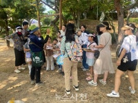 꽃무릇 핀 사천읍성서 사천읍민 화합잔치 열려 < 사회 < 기사본문 - 뉴스사천 꽃무릇 핀 사천읍성서 사천읍민 화합잔치 열려