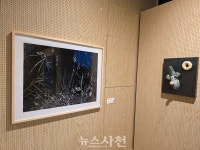 현대미술 거장 작품 한 자리에···사천미술관서 29일까지 특별전 < 생생뉴스 < 문화/스포츠 < 기사본문 - 뉴스사천 현대미술 거장 작품 한 자리에... 
